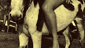 dark lantern entertainment unveils beauty and the beast in vintage style