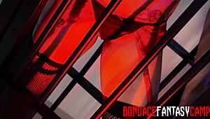 Hey, wanna watch Mai Bailey and Krystal Webb dominate with heels in lesbian fetish ass licking?