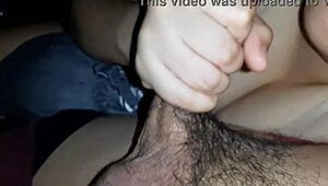 sloppy blowjob from asian babe with sexy tits reveal.