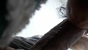 chubby redwood vs ms mowett in blowjob showdown