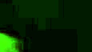 alana evans and monique alexander ride in sex house