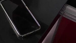 romantic afternoon turns into an intimate encounter with a brunette