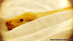 Taman Eden Sembunyikan Rayuan Menggoda Halus Buat Mata penasaran