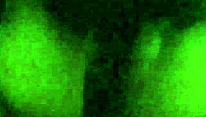 ebony sloppy black oral, good head