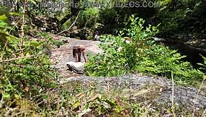 so, this voyeur stranger just bangs a girl on a nudist beach!