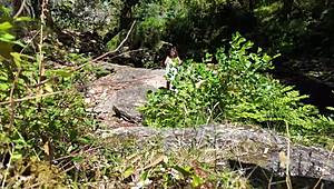 so, this voyeur stranger just bangs a girl on a nudist beach!