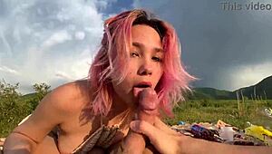 the unexpected twist at the picnic