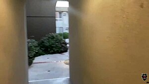 hallie hays gets pussy creampied by big cock