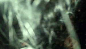 Hey, you gotta see me banging this Indian mature aunty on a bus!