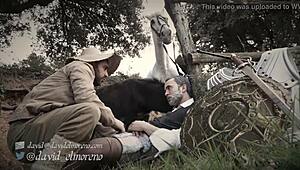 Don Quixxxote Spanish Tale Unfolds