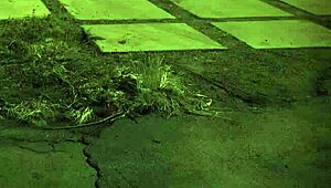 Arrested In Bondage! BDSM And Public Sex Make Doll Cum Hard!