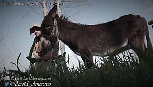 Cuento español de Don Quixxxote se desarrolla