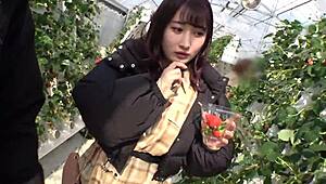 yo, full version of this japanese big tits action at the link!