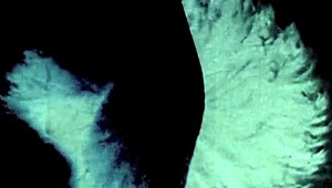 vintage illustration of antique retro cartoon