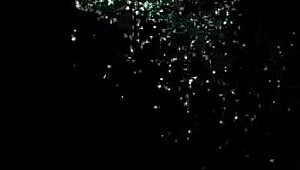 female supremacy brainwashing featuring mistress magenta