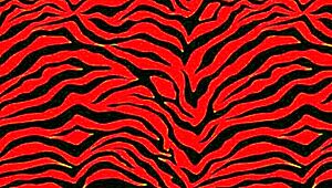 Ssbbw Backshots vs Slim Thick, Who Wins with Big Cock?