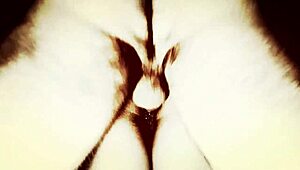 retro scene with deepthroat and anal pounding action