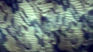 pussy jacking off only with pov close-up muff diving lick creampie cunilingus