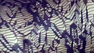 pussy jacking off only with pov close-up muff diving lick creampie cunilingus