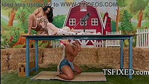 avery explores a wild tranny farm with unexpected twists. what a crazy ride this turned out to be!