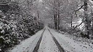 The chick with a large ass received a huge pounding from behind