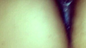 what's in this retro blue film dated 2015?