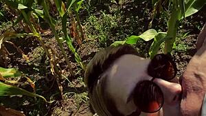 helping a twink friend out in the cornfield