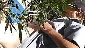 hot suck and fuck in the 420 patch