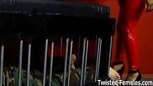 the mistress humiliates her sub, calling him nothing but trash.