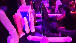 Coco De Wit follada duro detrás de cámaras