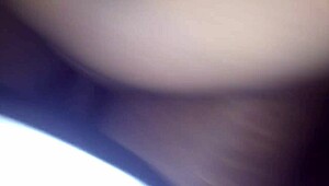 Curvy Ebony Chanel B Gives Strip Tease And Pleasure