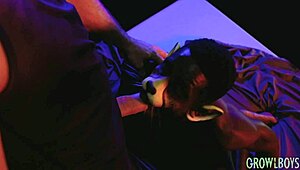 ويركات يفشخ طيز hunk العضلي بقوة بدون واقي