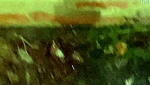 cracky and the tv in a fun reality moment