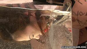 Asian Babe Miu Tied Tight for Vibrator Squirting Action