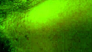 you see this amateur ebony latina couple fucking with assplay?