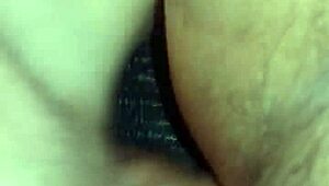 Hej, vill du se Adolfo Llador knulla Elpa Sivos tighta röv?