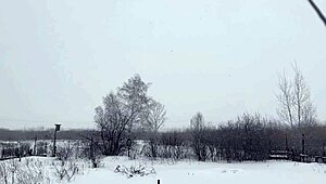 I'm banging my silicone stepsister stuck in bed, cumming on her ass!