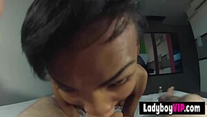 brown-skinned flat-chested asian ladyboy gets pounded in rough pov action. thai streets heat up with bareback intensity