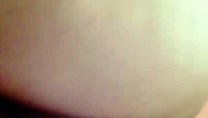 sundaydogood614 update 44 on jan 29 2024