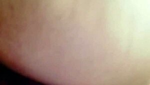 sundaydogood614 update 44 on jan 29 2024