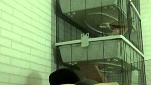 Horny gay action with kinky piss play soaking my sofa wet.