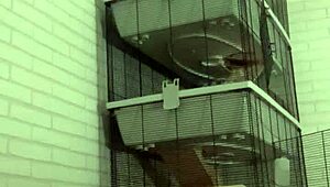 Horny gay action with kinky piss play soaking my sofa wet.