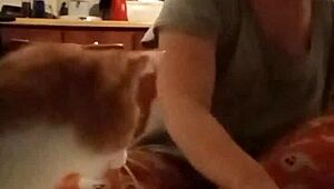 yo, check our promotional compilation for fetish friendly vids