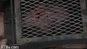 Naughty angel receives lusty facial castigation with cum