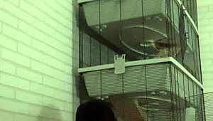 Horny gay action with kinky piss play soaking my sofa wet.