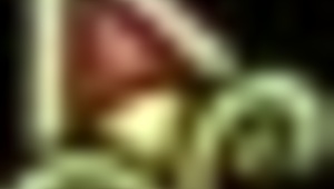 i'm mcgonagall, what are you doing to these innocent witches?