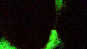 Sashaa Legend Gives Amazing Blowjob to Fat Cock