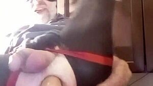 Thomas Odea displays his big gay cock