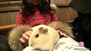 Slut Sucking Cock Deep on All Fours, Vacuum Blowjob and Tit-Job Combo