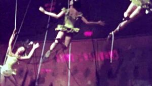 Hey, remember those vintage erotic cartoons with steamy hentai vibes from way back?